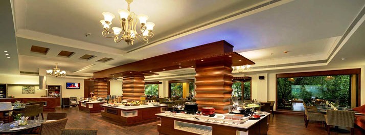 462/Mayfair Lagoon - Bhubaneswar 10.jpg